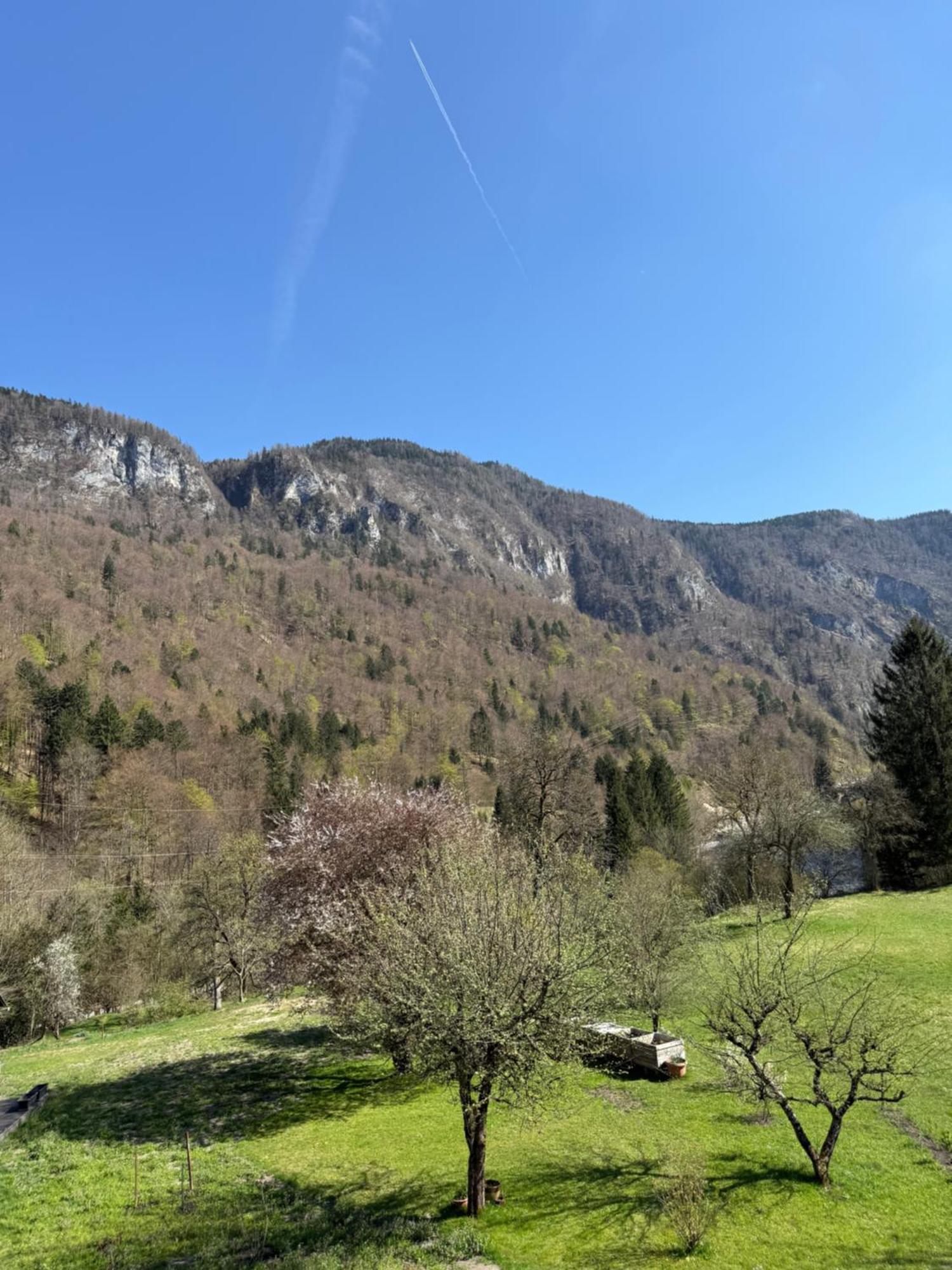 4 Elements Resort Bled Bohinjska Bela Eksteriør billede