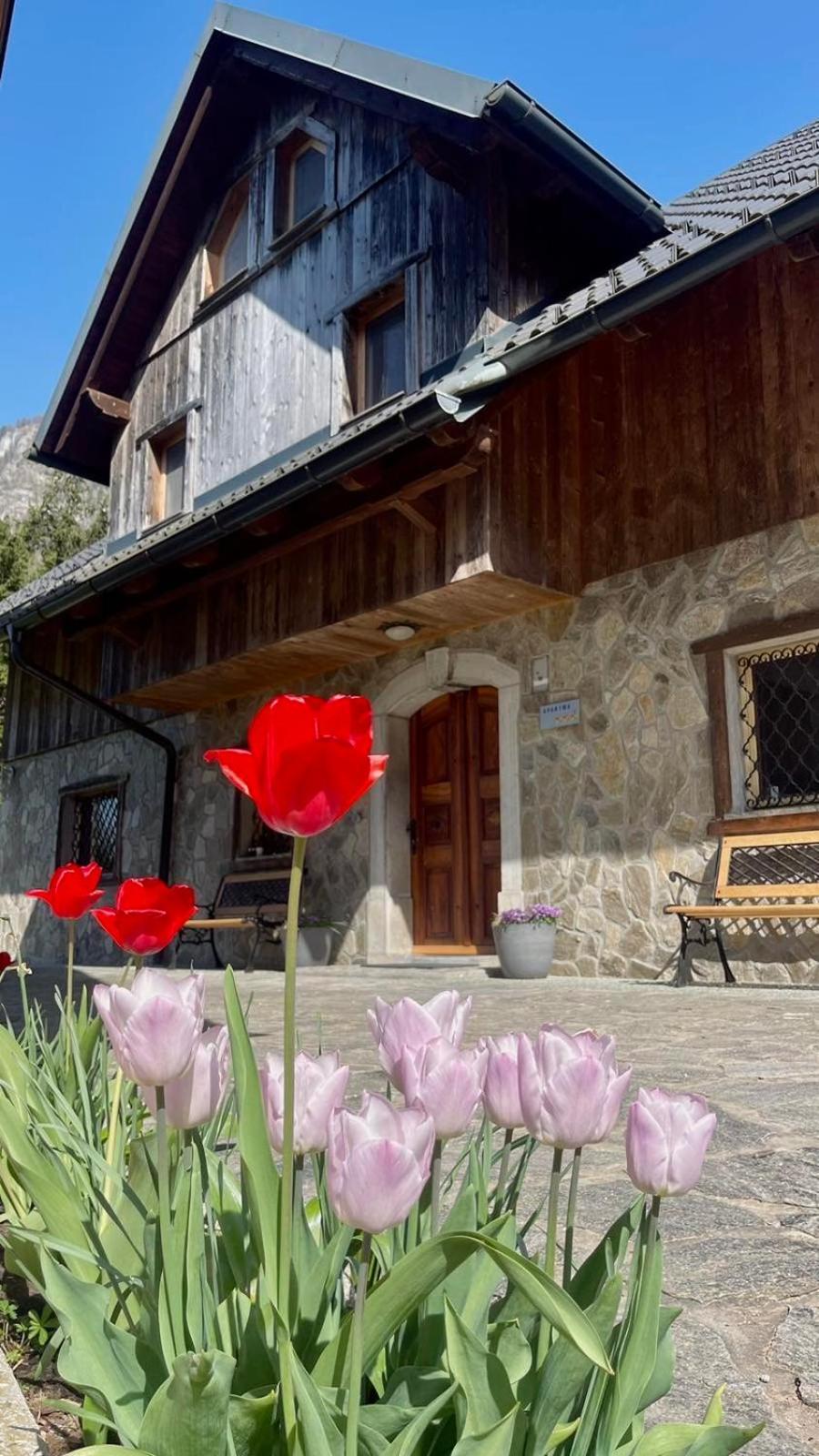 4 Elements Resort Bled Bohinjska Bela Eksteriør billede